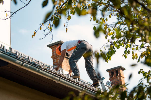 Professional Roofing Contractor in Spring Valley, MN