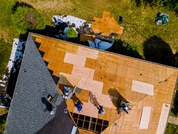 Best New Roof Installation  in Spring Valley, MN
