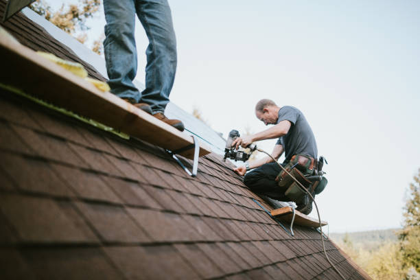 Best Roof Leak Repair  in Spring Valley, MN